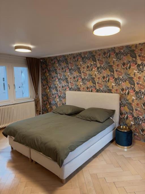 Suesse Wohnung In Zuercher Altstadt 3 チューリッヒ エクステリア 写真